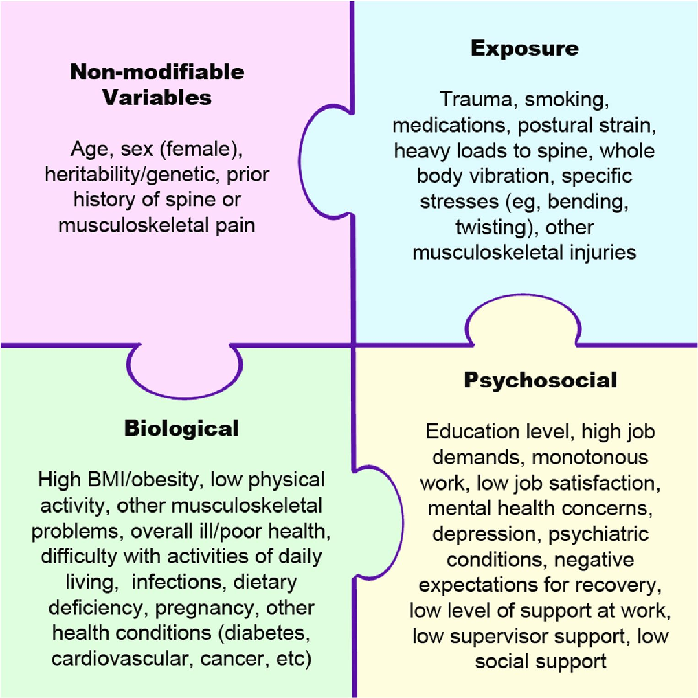 Common spine disorders