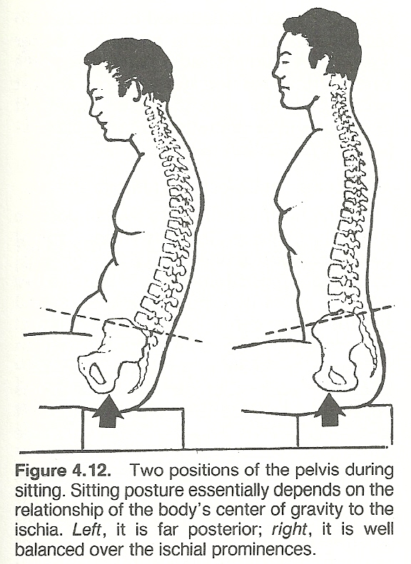 SITTING POSTURES