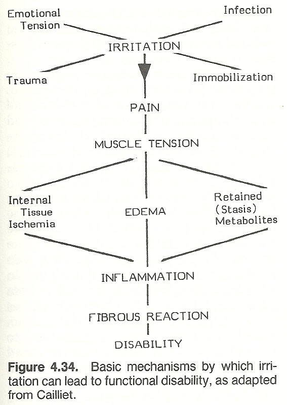 flow diagram of infammation. Emotional tension, infection, trauma, immobilisation feeding into irritation to pain to muscle tension, oedema and inflammation. Inflammation creates fibrous reaction and disability. 