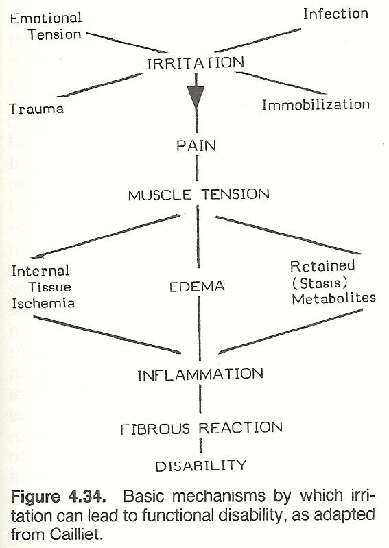 CHAPTER 4: BODY ALIGNMENT, POSTURE, AND GAIT