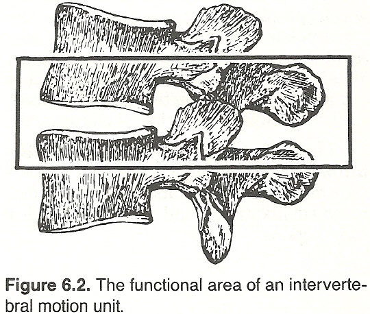 Thoracic Spine Subluxation