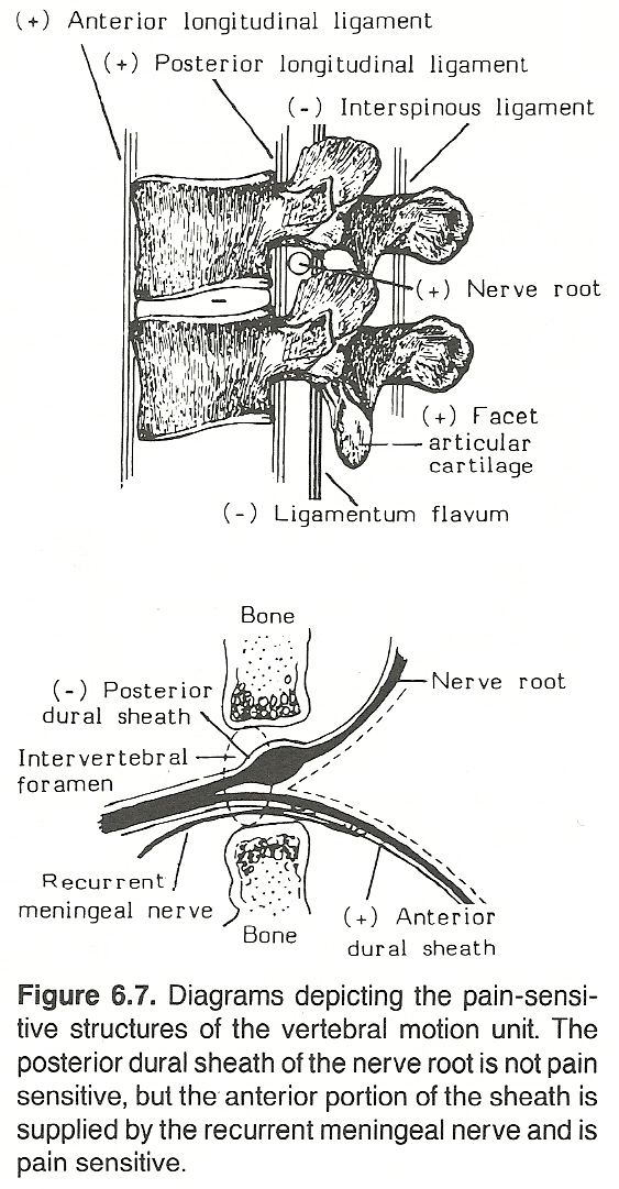 Thoracic Spine Subluxation