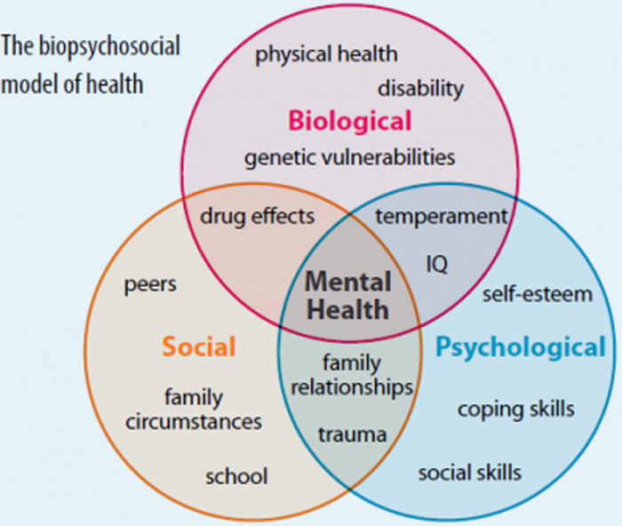 The Biopsychosocial Model And Chiropractic Chiropractic Resource Organization Largest