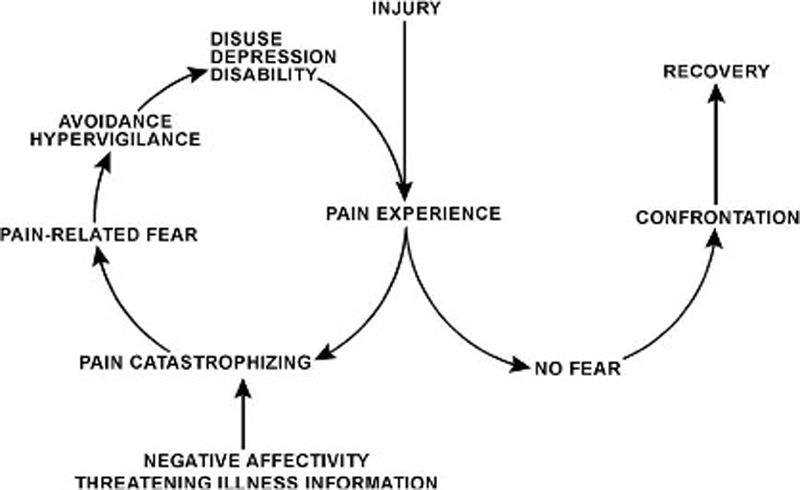 Pain-Related Fear-Dissociable Neural Sources of Different Fear Constructs