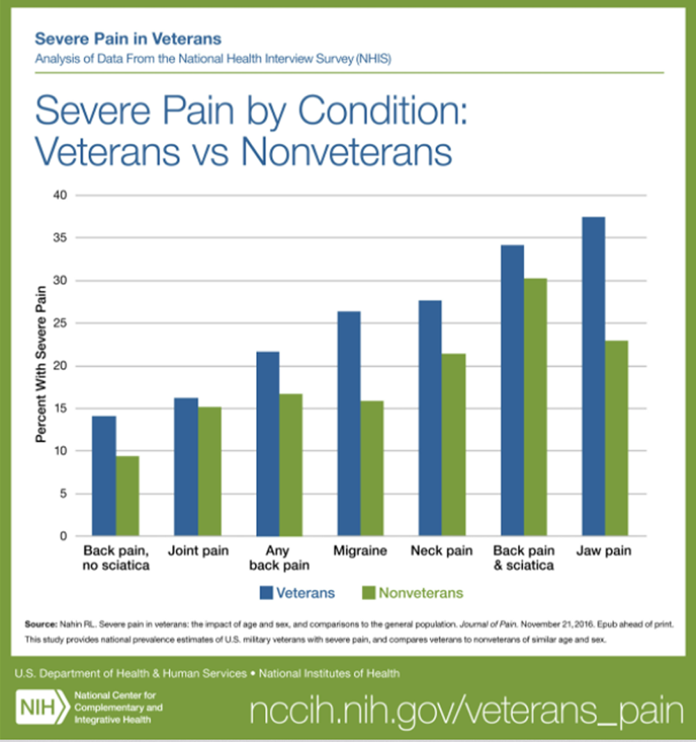 We Built It, But Did They Come: Veterans’ Use of VA Healthcare System-Provided Complementary and Integrative Health Approaches