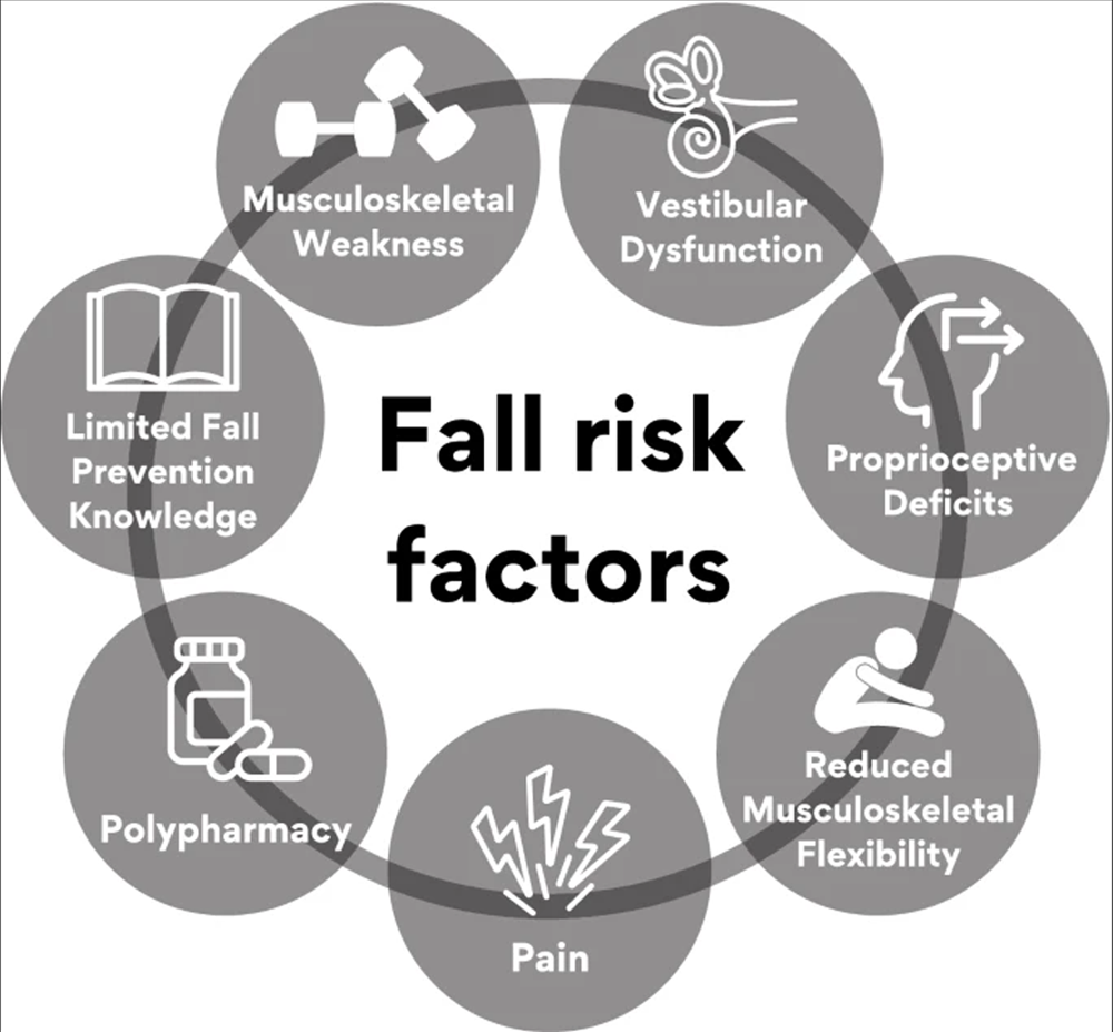 Older Adult Fall Prevention