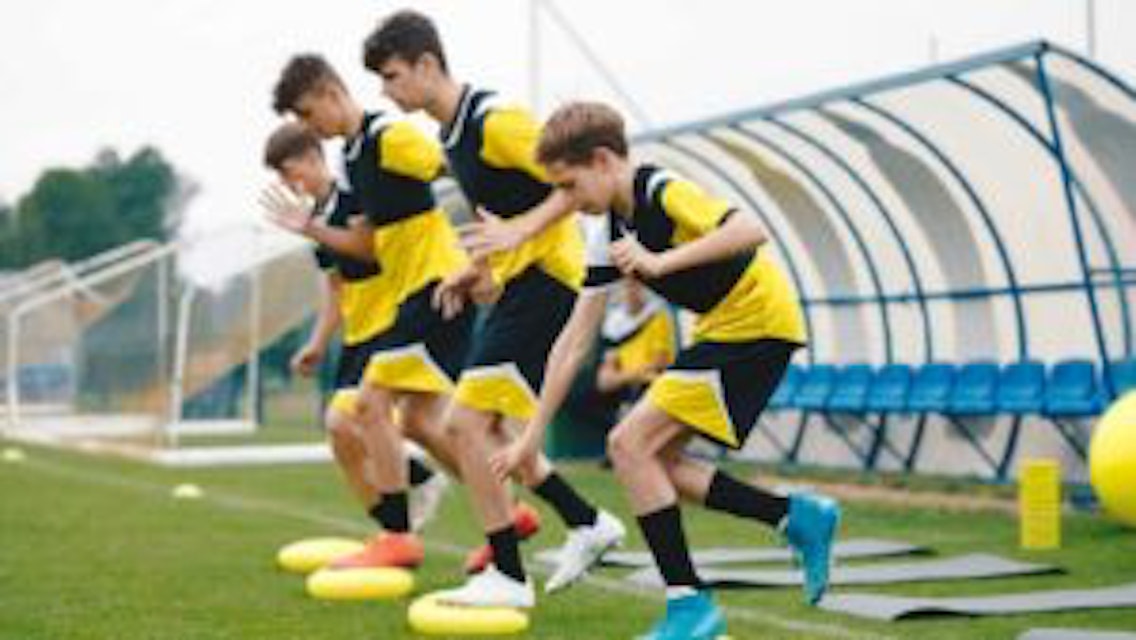 Musculoskeletal Injury Risk Screening – Plus