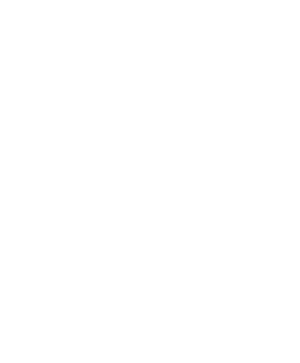 Plus logo