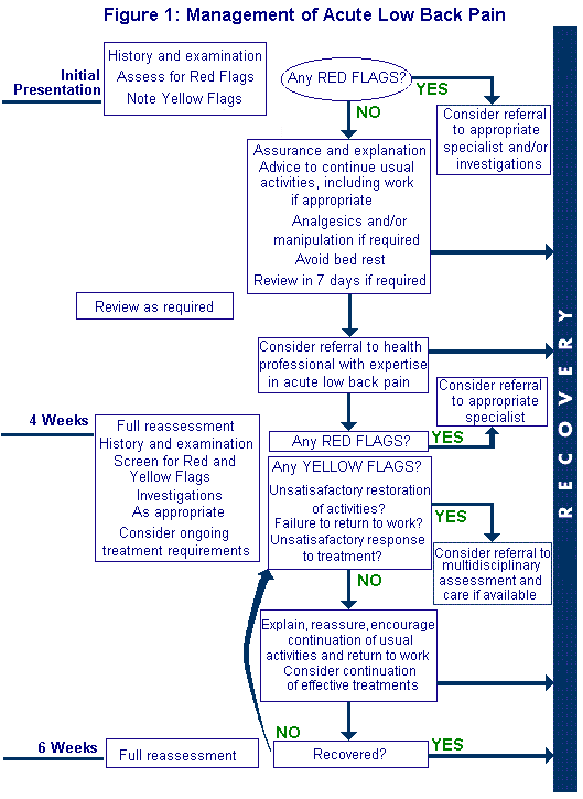 Figure 1: Management of Acute Low Back Pain