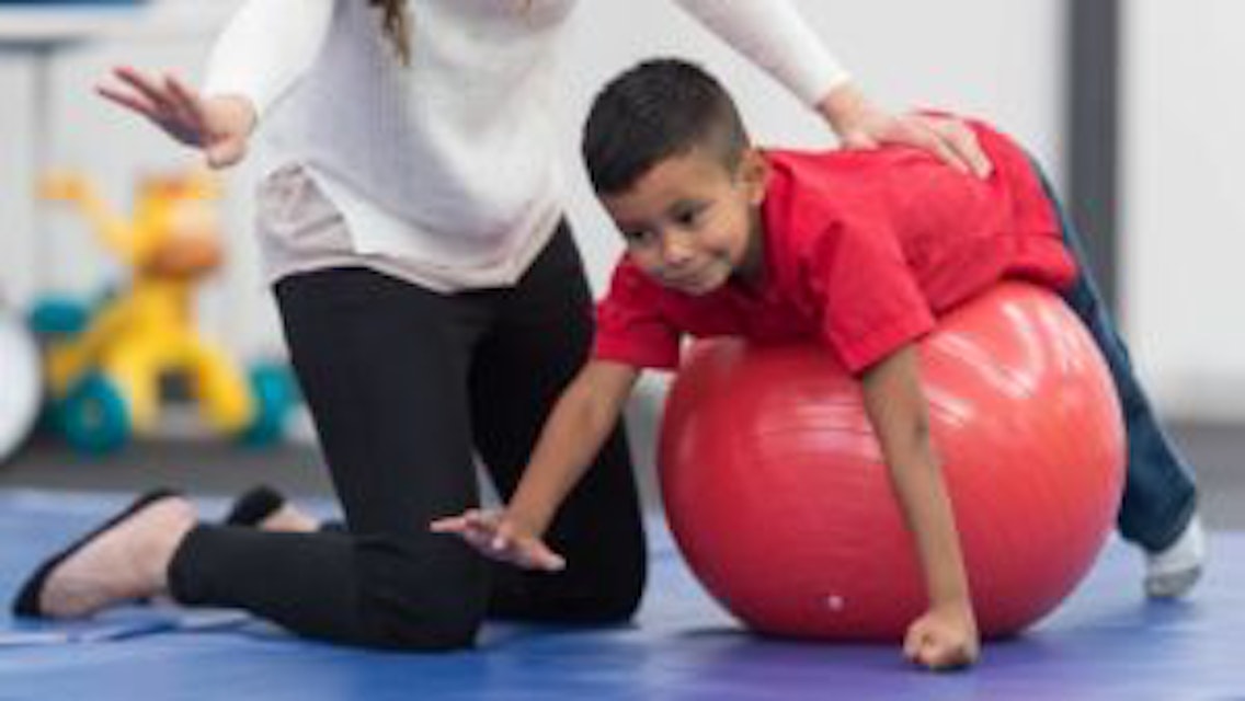 Introduction to Paediatric Physiotherapy – Plus
