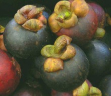 Mangosteen