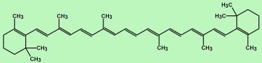 Beta-Carotene