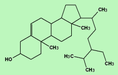 Beta-Sitosterol