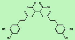 Chicoric acid