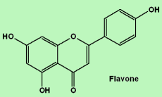 Flavonoids