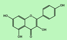 Kaempferol