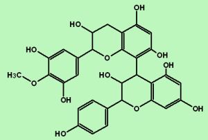 Proanthocyanidins