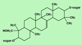 Saponins