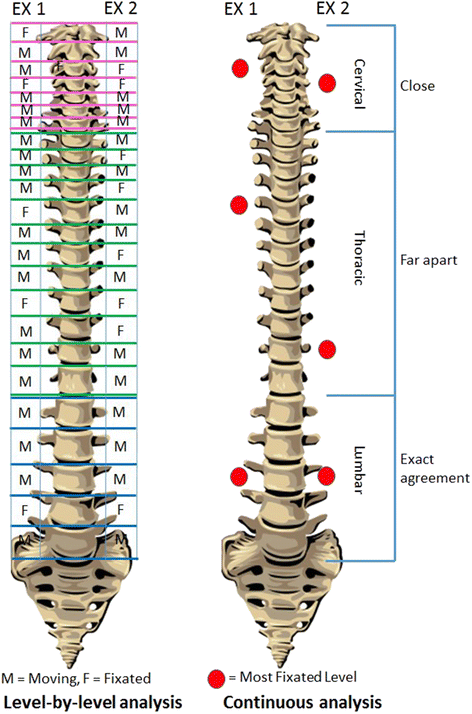 Index of /Graphics_Box_SUBLUXATION/GRAPHICS/THE_RELIABILITY_OF_SPINAL ...