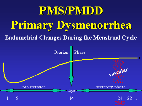 TREATING THE FEMALE PATIENT: THE FEMALE MENSTRUAL CYCLE