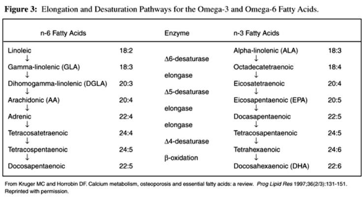 OMEGA 3 FATTY ACIDS