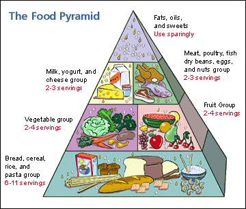 Food Group Pyramid Chart