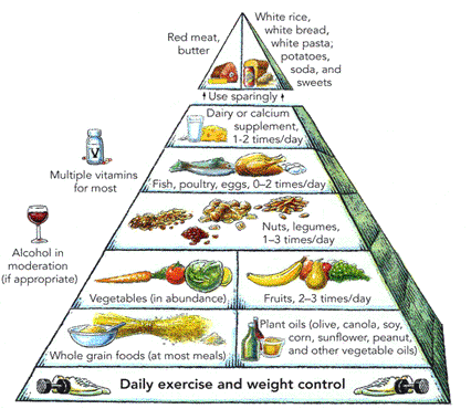 https://chiro.org/nutrition/GRAPHICS/New_Pyramid.gif